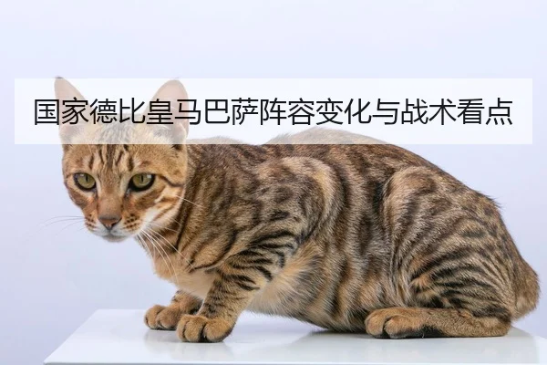 国家德比皇马巴萨阵容变化与战术看点