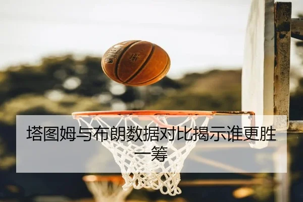 ta-tu-mu-yu-bu-lang-shu-ju-dui-bi-jie-shi-shui-geng-sheng-yi-chou-2-335.jpg