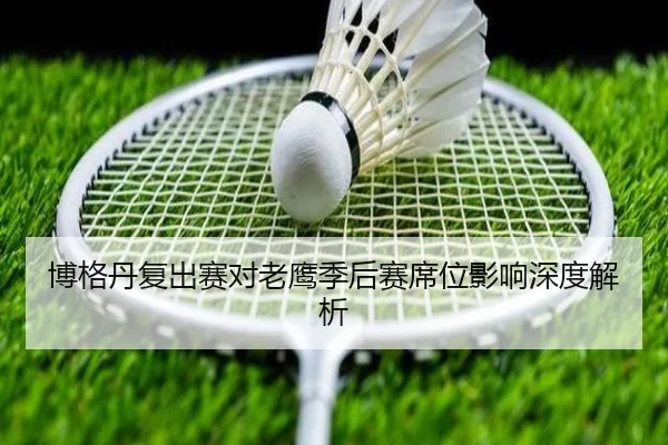 bo-ge-dan-fu-chu-sai-dui-lao-ying-ji-hou-sai-xi-wei-ying-xiang-shen-du-jie-xi-2-621.jpg